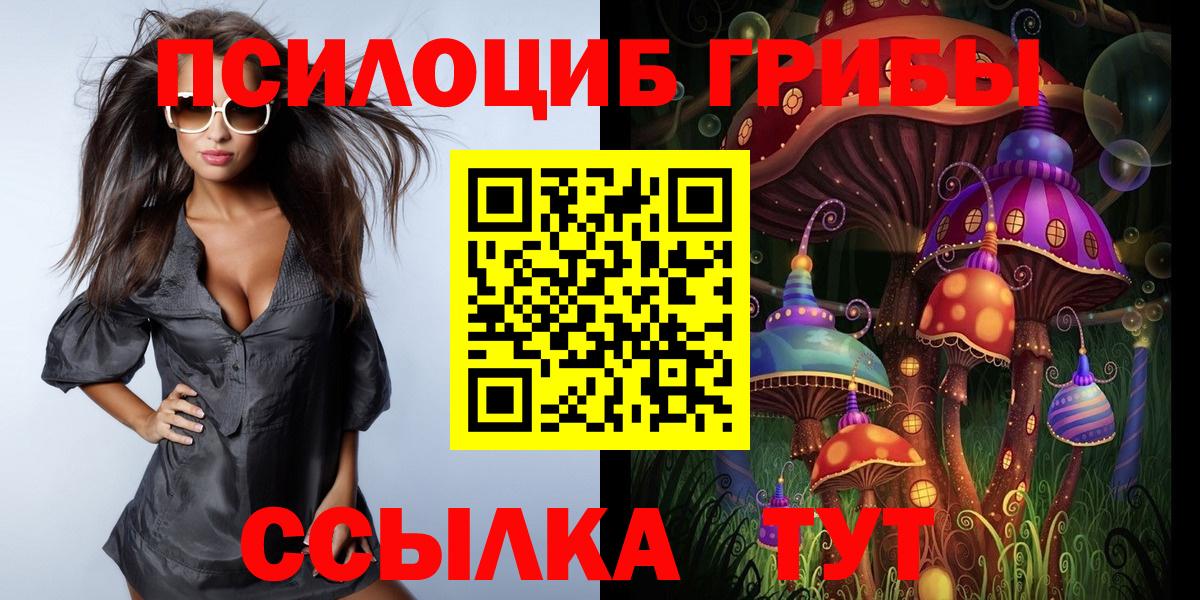 Галлюциногенные грибы GOLDEN TEACHER Елизово